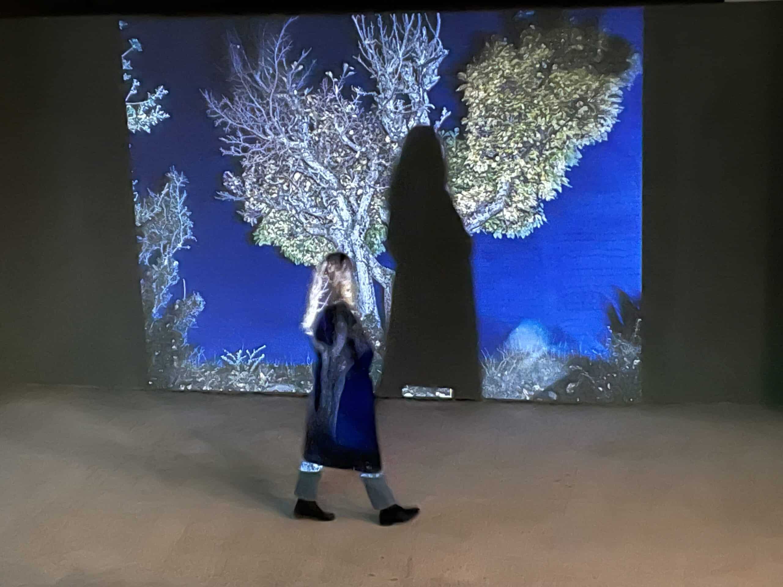 Επίσκεψη στην έκθεση του Τάσου Βρεττού «Το αίνιγμα του δάσους».